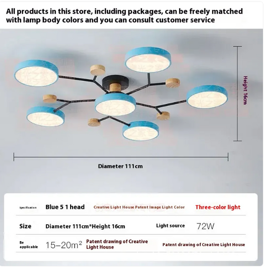 Contemporary Ceiling Light